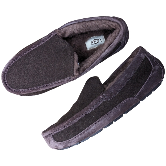 Ugg Ascot Men's Slippers Loafer Brown